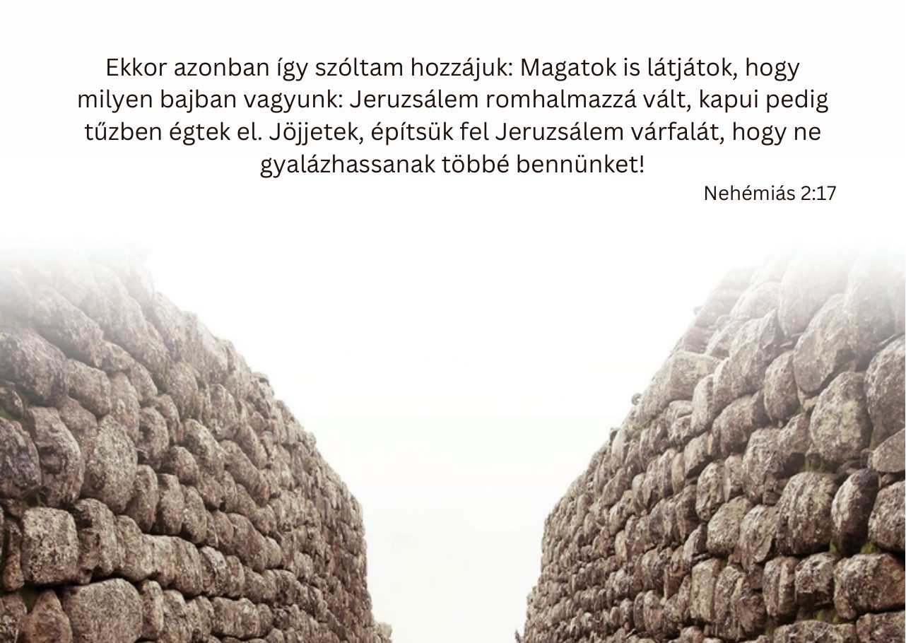 Hátlap