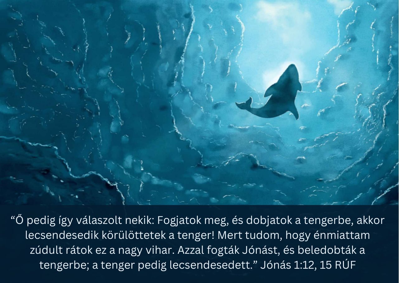Hátlap