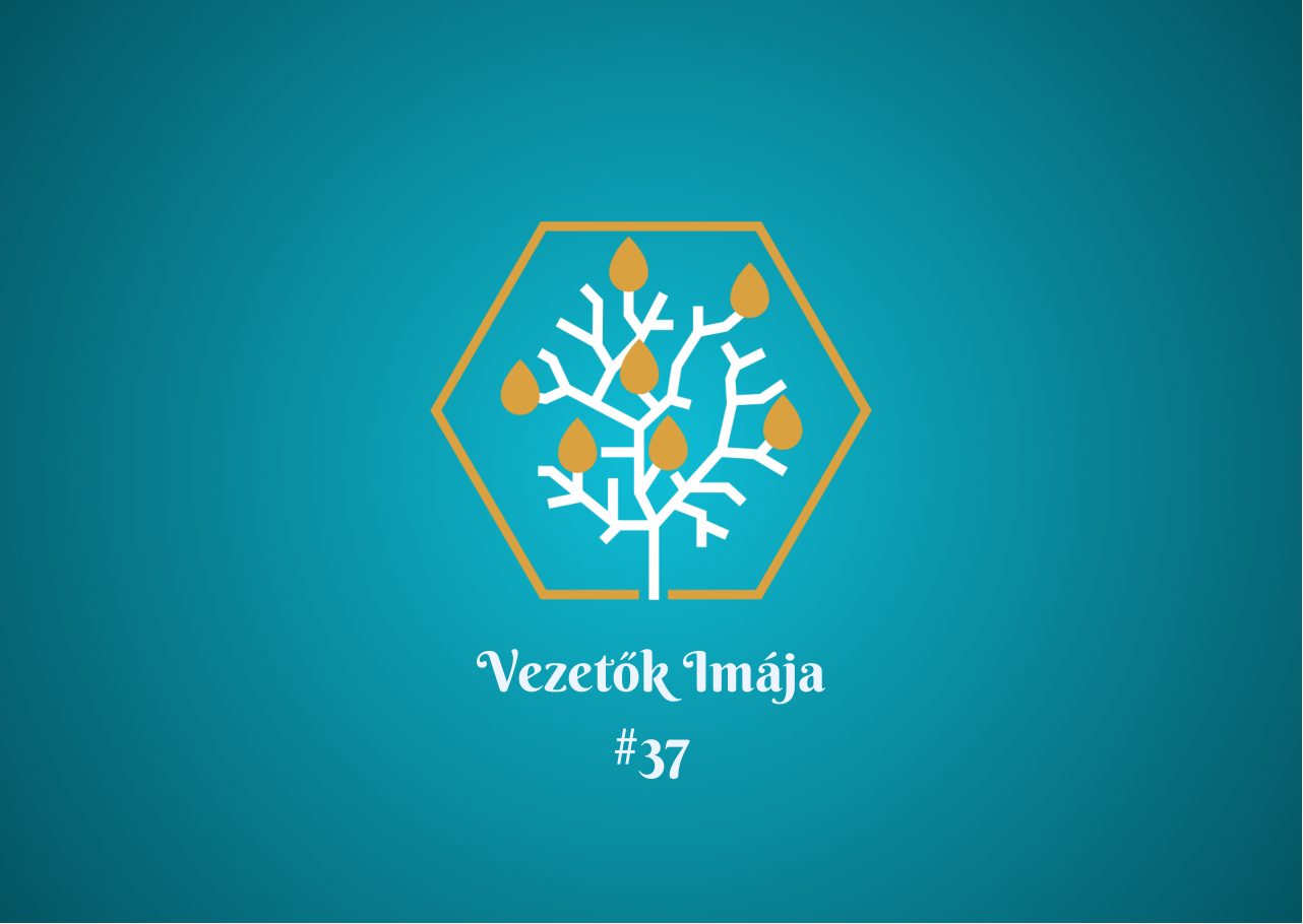 Előlap